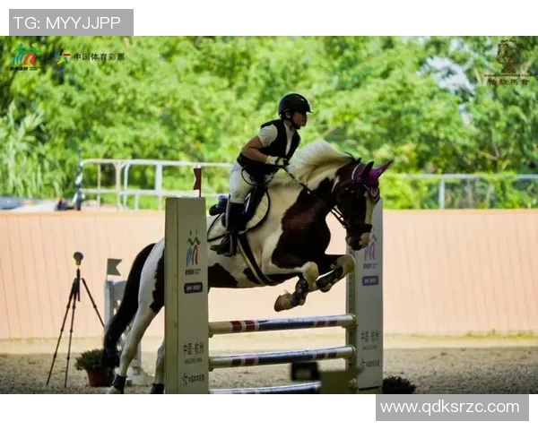 中国马术队历史性突破首次获得奥运团体赛资格载入史册