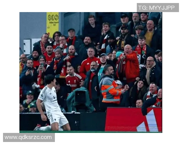 五大联赛荣获月度最佳球员,实至名归 五大联赛荣获月度最佳球员,实至名归